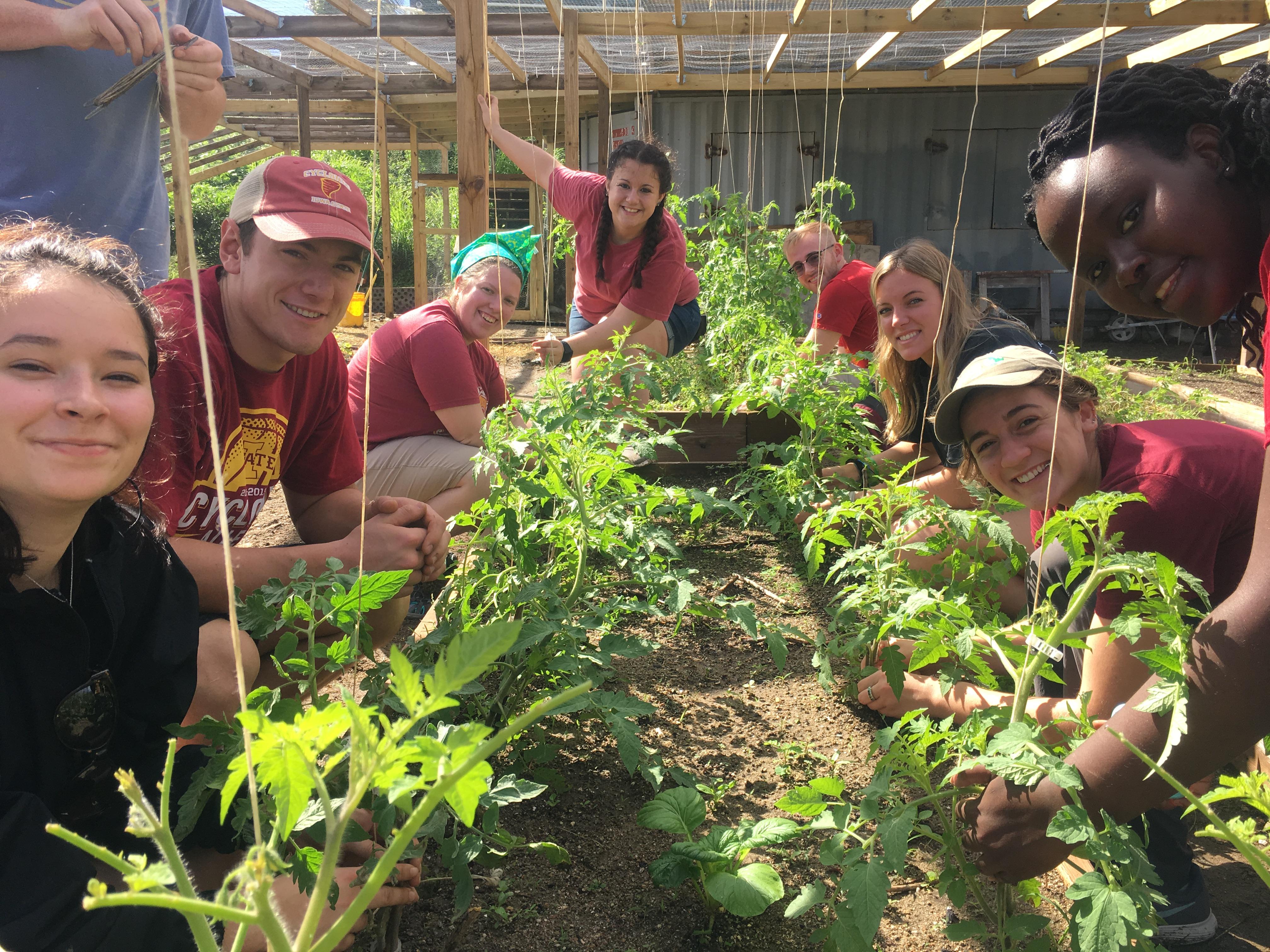 Service learning garden project in US Virgin Islands