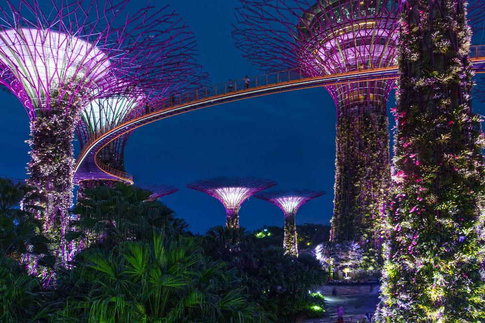 Gardens by the Bay - Singapore